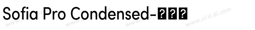 Sofia Pro Condensed字体转换